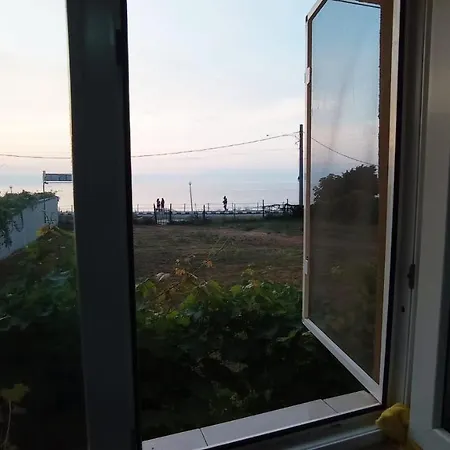 Adonis * 코스티네스티